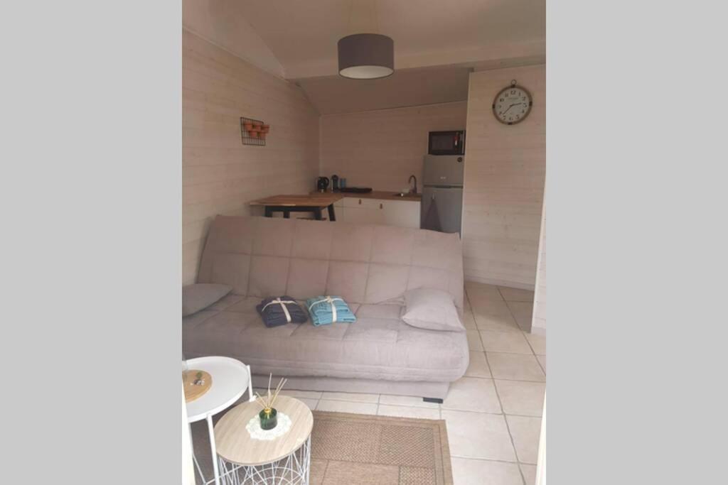 Maisonnette En Pierre Independante De 20 M2 Saint-Cirgues-sur-Couze Экстерьер фото